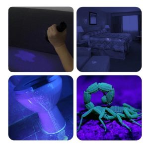 Linterna Luz Negra Uv Para Detección Orina Mascotas Vansky Color De La Linterna Negro - Image 5