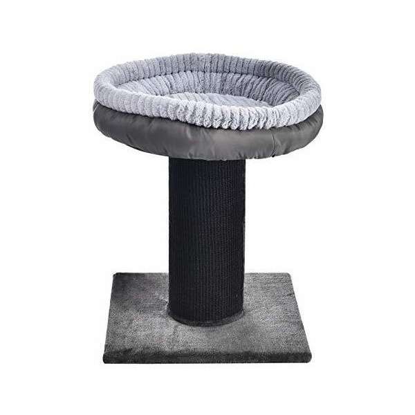 Amazonbasics Poste Para Gatos - Image 2