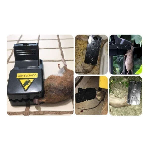 Trampa Para Ratones Uskich, Rápido Y Eficaz, Paq 20 Unidades - Image 2