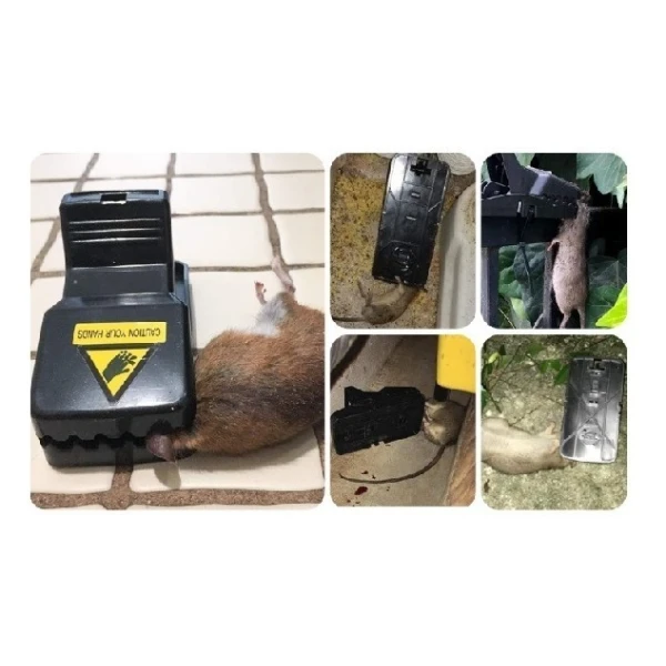 Trampa Para Ratones Uskich, Rápido Y Eficaz, Paq 20 Unidades - Image 2
