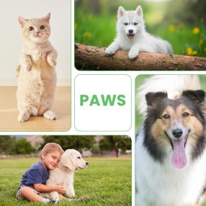 Limpiador Espumoso De Patas Para Perros Y Gatos Sin Enjuague - Image 5