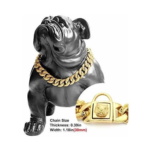 Collar De Oro Para Perro Collar De Cadena De Acero Inoxidabl - Image 4