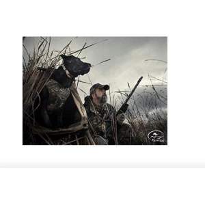 Sportdog Wetlandhunter A-series 500 Yardas Mando A Distancia - Image 4