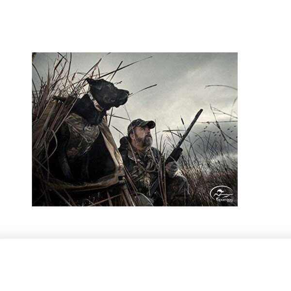 Sportdog Wetlandhunter A-series 500 Yardas Mando A Distancia - Image 4