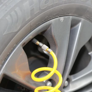 Tirewell 12v Neumático Inflador, Pesado Bomba Doble Cilindro Color Negro - Image 4