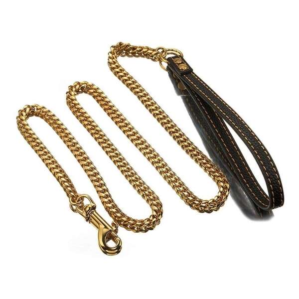 Correa Para Perro Chapada En Oro 132 Cm De Largo - Image 2