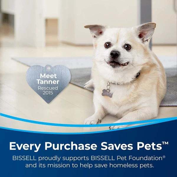 Bissell Aspiradora Pet Stain Eraser Plus, 3181 Color Negro - Image 2