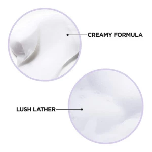 Champú Y Acondicionador Everpure , L'oréal Paris Frizz Defy - Image 4