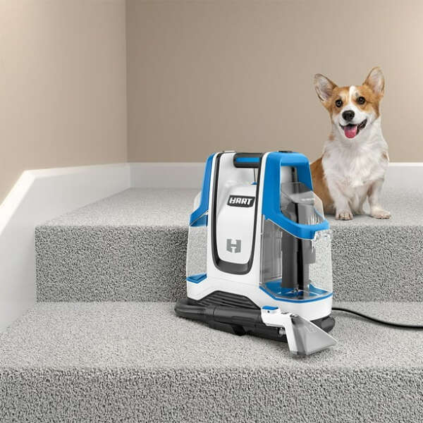 Hart Fórmula Limpieza De Alfombras Para Mascotas 950ml - Image 3