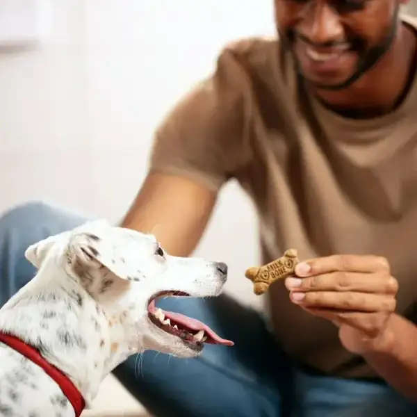 Milk Bone Galletas Flavor Con Sabor A Hueso Para Perros 680g - Image 2