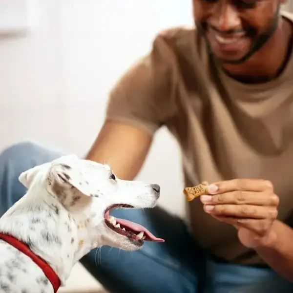 Milk Bone Galletas Mini Con Sabor A Hueso Para Perro 425g - Image 3